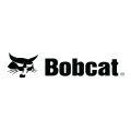 Bobcat